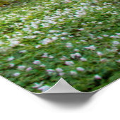 Spring to Life Poster (Ecke)