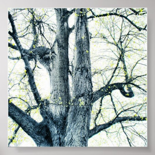 Spring tree poster (Vorne)