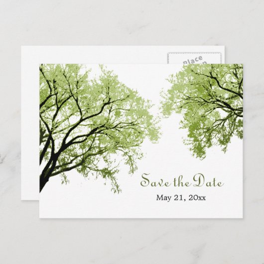 Spring Trees 2 - Save the Date Postkarte (Vorne/Hinten)