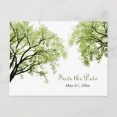 Spring Trees 2 - Save the Date Postkarte (Vorderseite)