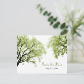 Spring Trees 2 - Save the Date Postkarte (Stehend Vorderseite)