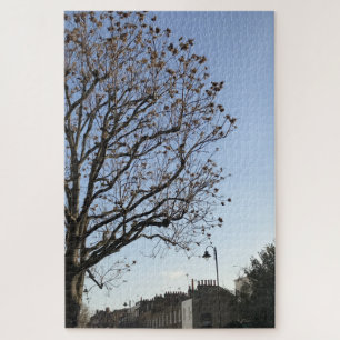 Spring Trees, Kensington and Chelsea, London UK Puzzle