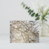 Spring Treflections Bike Path Puddle Kanada Postkarte (Stehend Vorderseite)