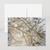 Spring Treflections Bike Path Puddle Kanada Postkarte (Vorne/Hinten)