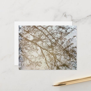 Spring Treflections Bike Path Puddle Kanada Postkarte