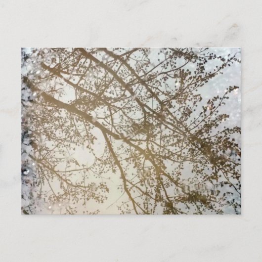 Spring Treflections Bike Path Puddle Kanada Postkarte (Vorderseite)