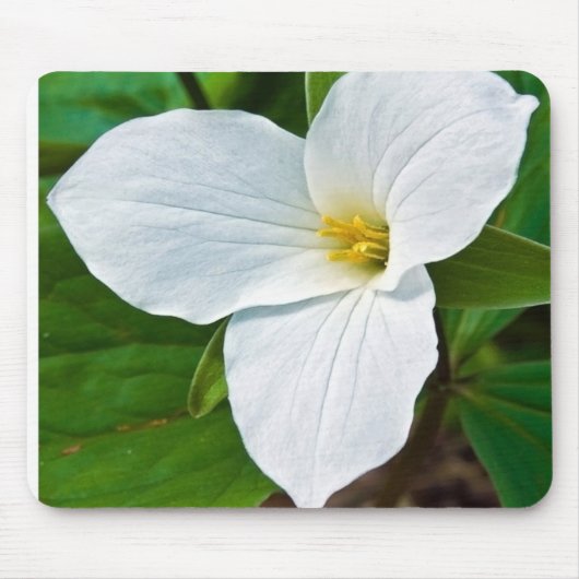 Spring Trillium Mousepad (Vorne)