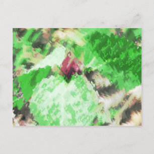 Spring Trillium Wildblume Postkarte