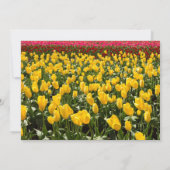 Spring Tulip Bridal Shower Invitation Einladung (Rückseite)