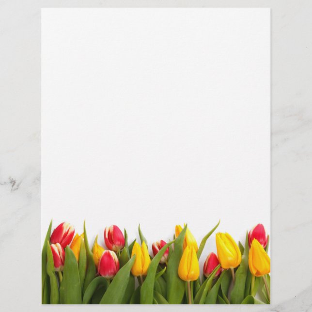 Spring Tulip Garden Letterhead (Vorderseite)