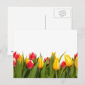 Spring Tulip Garden Postkarte (Vorne/Hinten)