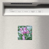 Spring Tulip Magnet (In Situ (Geschirrspüler))