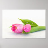 Spring Tulip Poster (Vorne)
