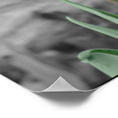 Spring Tulip Poster (Ecke)