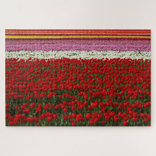 Spring Tulip Super Challenge Puzzle (Horizontal)