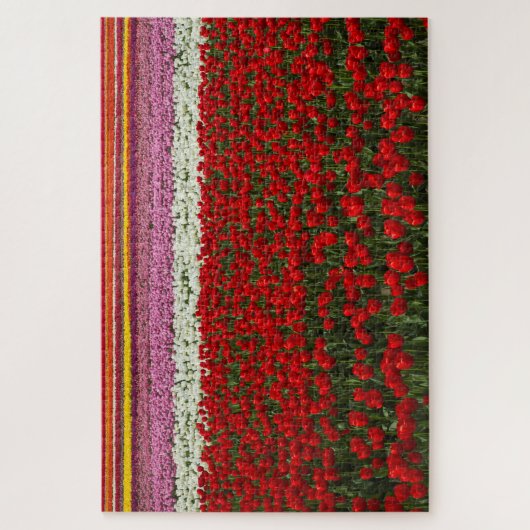 Spring Tulip Super Challenge Puzzle (Vertikal)