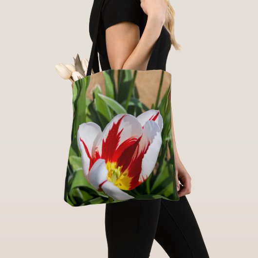 Spring Tulip Tasche (Von Nahem)