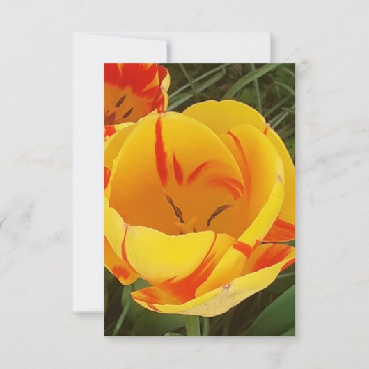 Spring Tulips Flat Greeting Card Karte (Vorderseite)