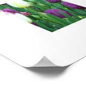 Spring Tulips floral fotografisch Poster (Ecke)