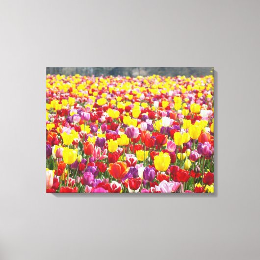 Spring Tulips Leinwand Panels Custom Fine Art (Vorderseite)