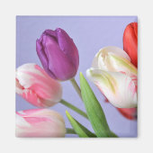 Spring Tulips Magnet (Vorne)