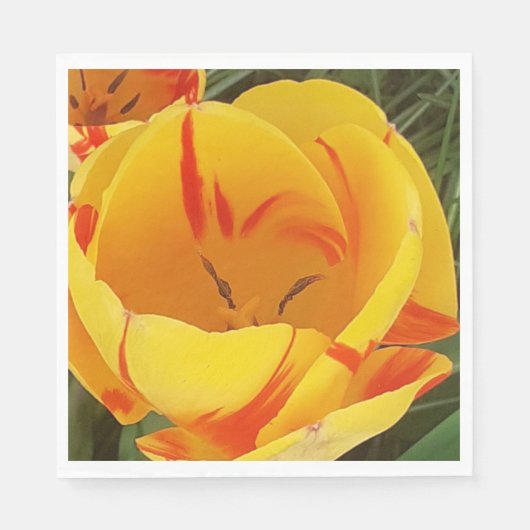 Spring Tulips Paper Napkins Serviette (Vorderseite)