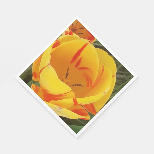 Spring Tulips Paper Napkins Serviette (Ecke)