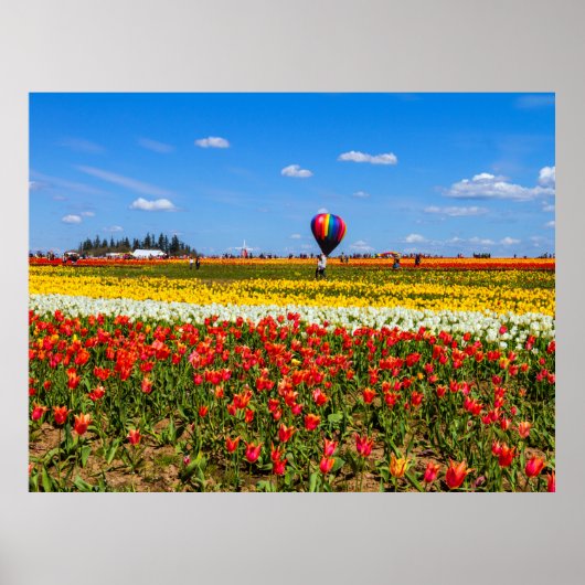 Spring Tulips Poster (Vorne)