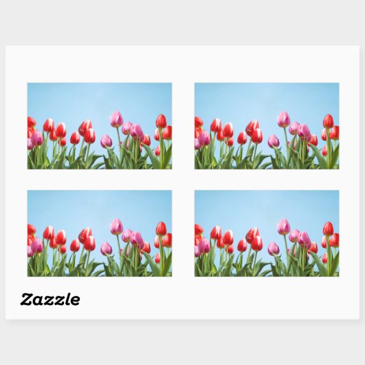 Spring Tulips Stickers (Blatt)