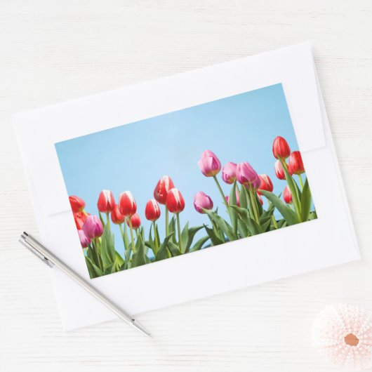 Spring Tulips Stickers (Umschlag)