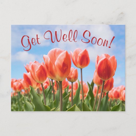 Spring Tulips Sunny bald wieder gut Postcard Postkarte (Vorderseite)