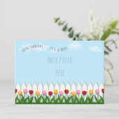 Spring Tulips White Picket Zaun Custom Foto Ankündigung (Stehend Vorderseite)