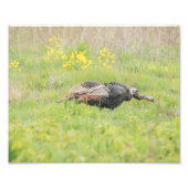 Spring Turkey Print Fotodruck (Vorne)