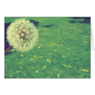 Spring Vintag wünscht Fotografie