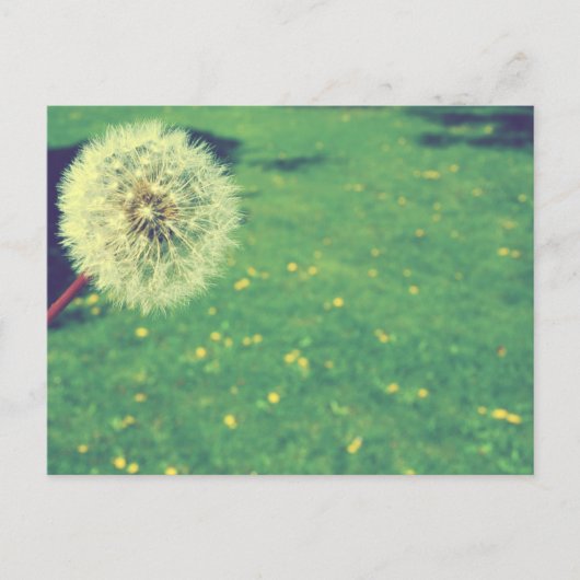 Spring Vintag wünscht Fotografie Postkarte (Vorderseite)