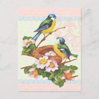 Spring Vintage Cute Bird Paar and Nest Postkarte