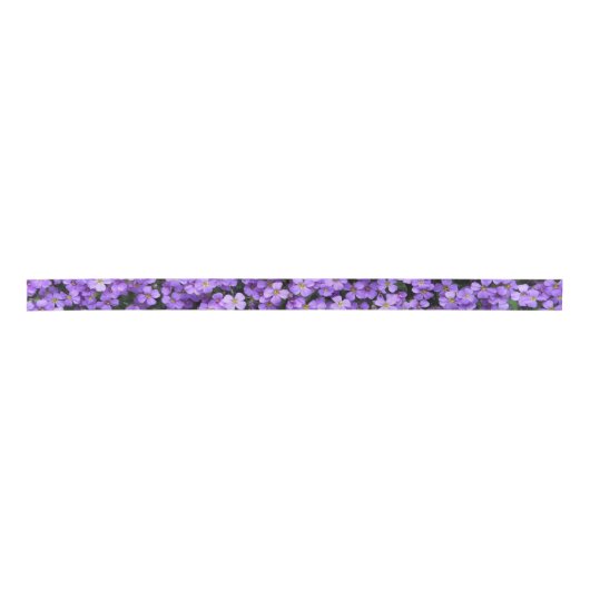 Spring Violets Ribbon Satinband (Vorderseite)