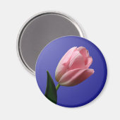 Spring Wedding Tulip Magnet (Vorderseite/Rückseite)