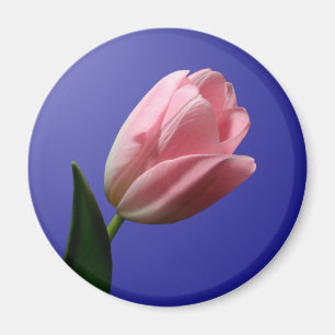 Spring Wedding Tulip Magnet