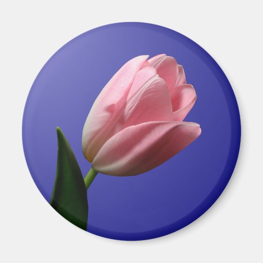 Spring Wedding Tulip Magnet (Vorne)
