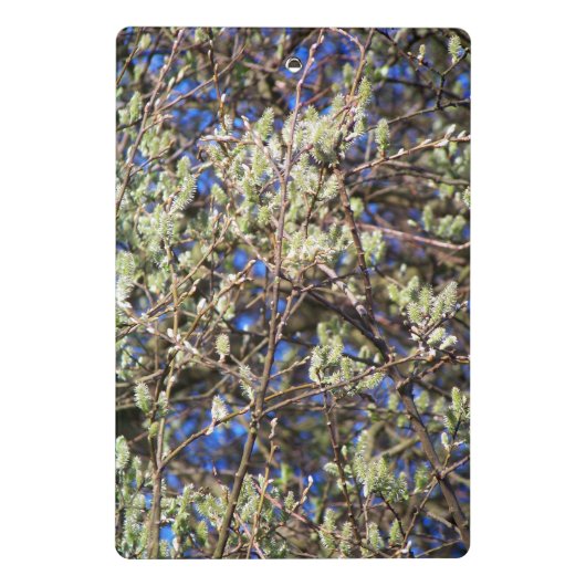 SPRING WILLOW MINI KLEMMBRETT (Rückseite)