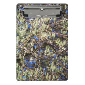 SPRING WILLOW MINI KLEMMBRETT (Vorderseite)