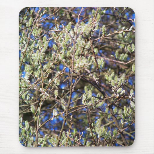 SPRING WILLOW MOUSEPAD (Vorne)