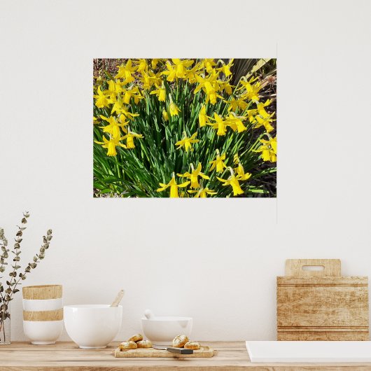 Spring Yellow Daffodien Poster (Küche)