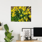 Spring Yellow Daffodien Poster (Heimbüro)