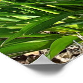 Spring Yellow Daffodien Poster (Ecke)