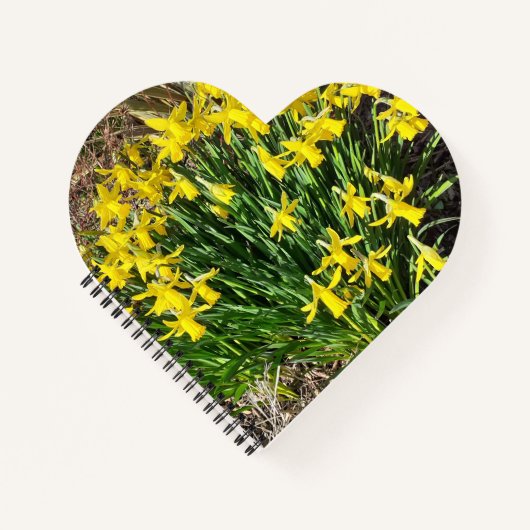 Spring Yellow Daffodils Herzbuch Notizblock (Vorderseite)