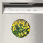 Spring Yellow Daffodils Magnet (In Situ (Geschirrspüler))