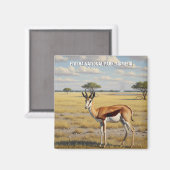 Springbock Etosha Nationalpark Namibia Reise Magnet (Vorderseite/Rückseite)