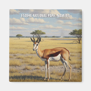 Springbock Etosha Nationalpark Namibia Reise Magnet